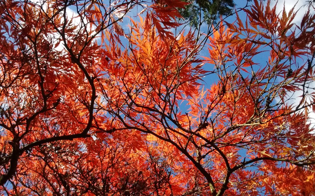 Ramster Autumn Wedding Featured on Rock My Wedding